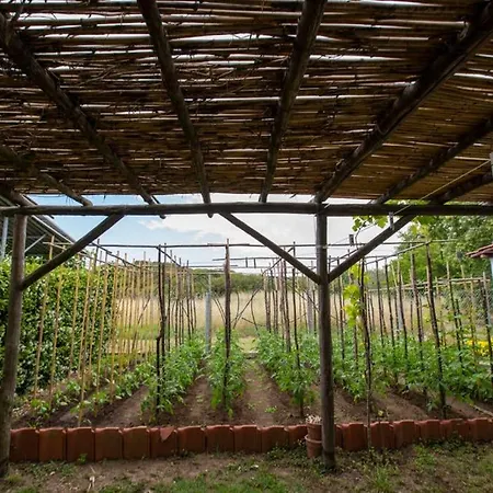 Agrampeli Holiday home *